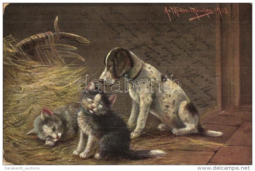 T3 Cats With Dog, C.B.St. No. 9303. S: A. M&uuml;ller  (fl) - Ohne Zuordnung