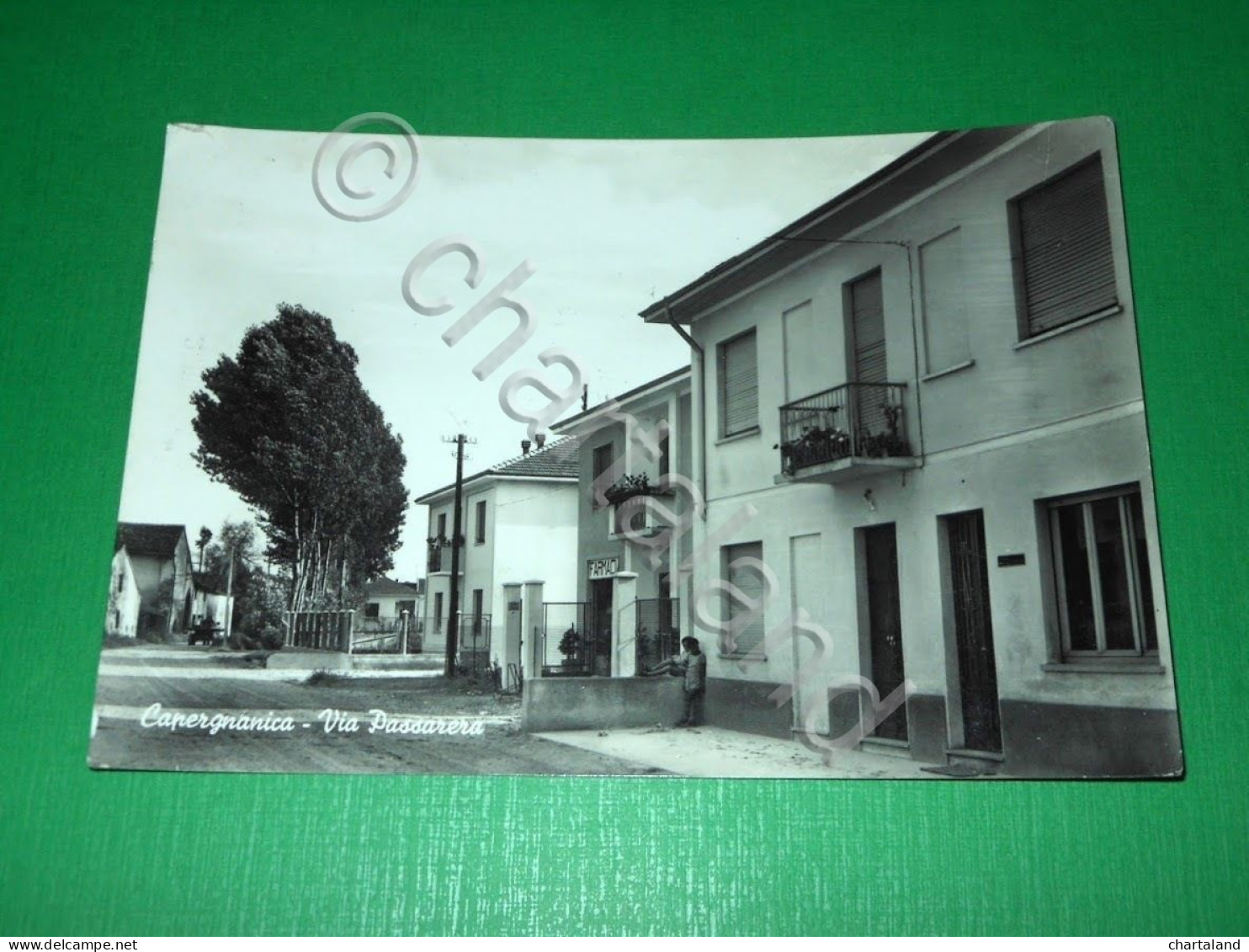 Cartolina Capergnanica - Via Passarera 1958 - Cremona