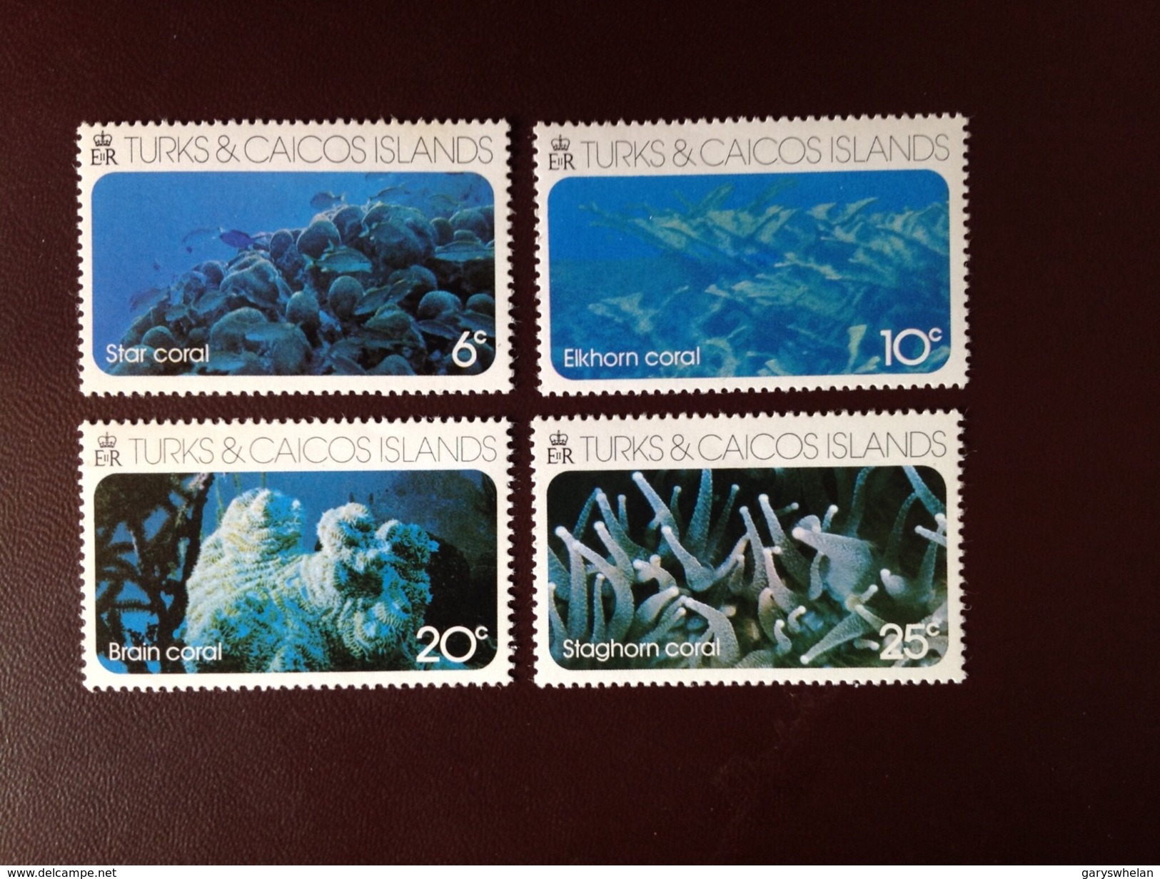 Turks And Caicos 1975 Coral Marine Life MNH - Vie Marine