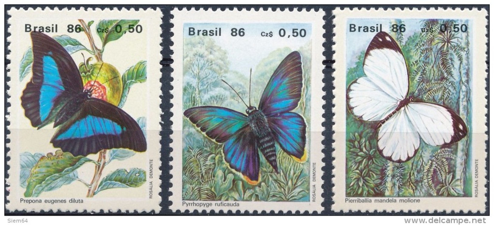 Brazilië Butterflies - Vlinders