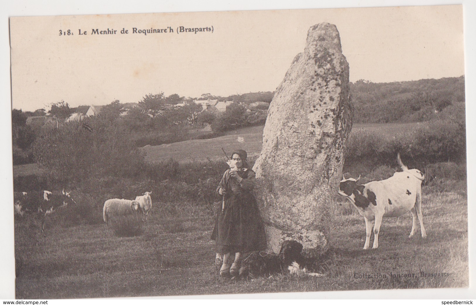 26285 BRASPARTS Menhir Roquimarc'h -Ed Joncour N° 318 - Brasparts - Vache Bretonne Mouton Fileuse Laine - Autres & Non Classés