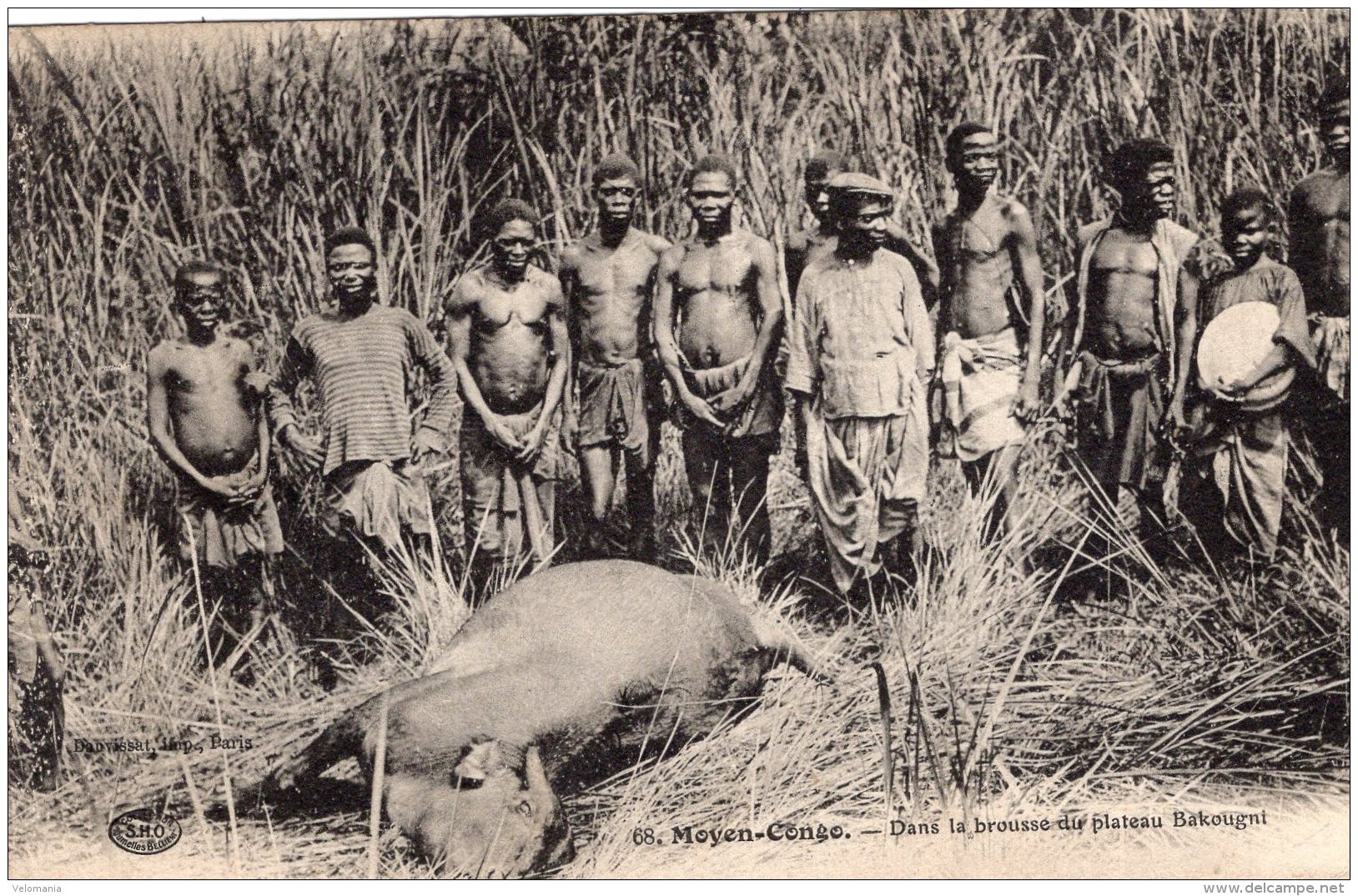 V10894 Cpa Moyen Congo - Dans La Brousse Du Plateau Bakougni - Autres & Non Classés