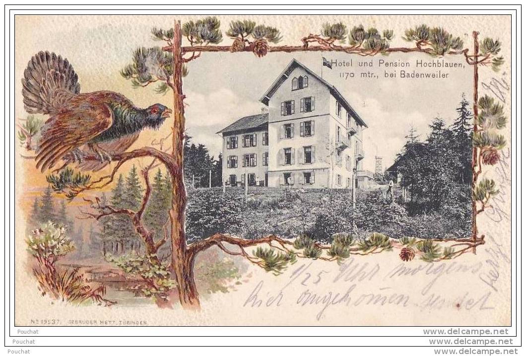 Hotel Und Pension Hochblauen , 1170 Mtr. , Bei  Badenweiler   - (carte Gaufrée + Tampon Hotel +  Oblitération De 1906) - Badenweiler
