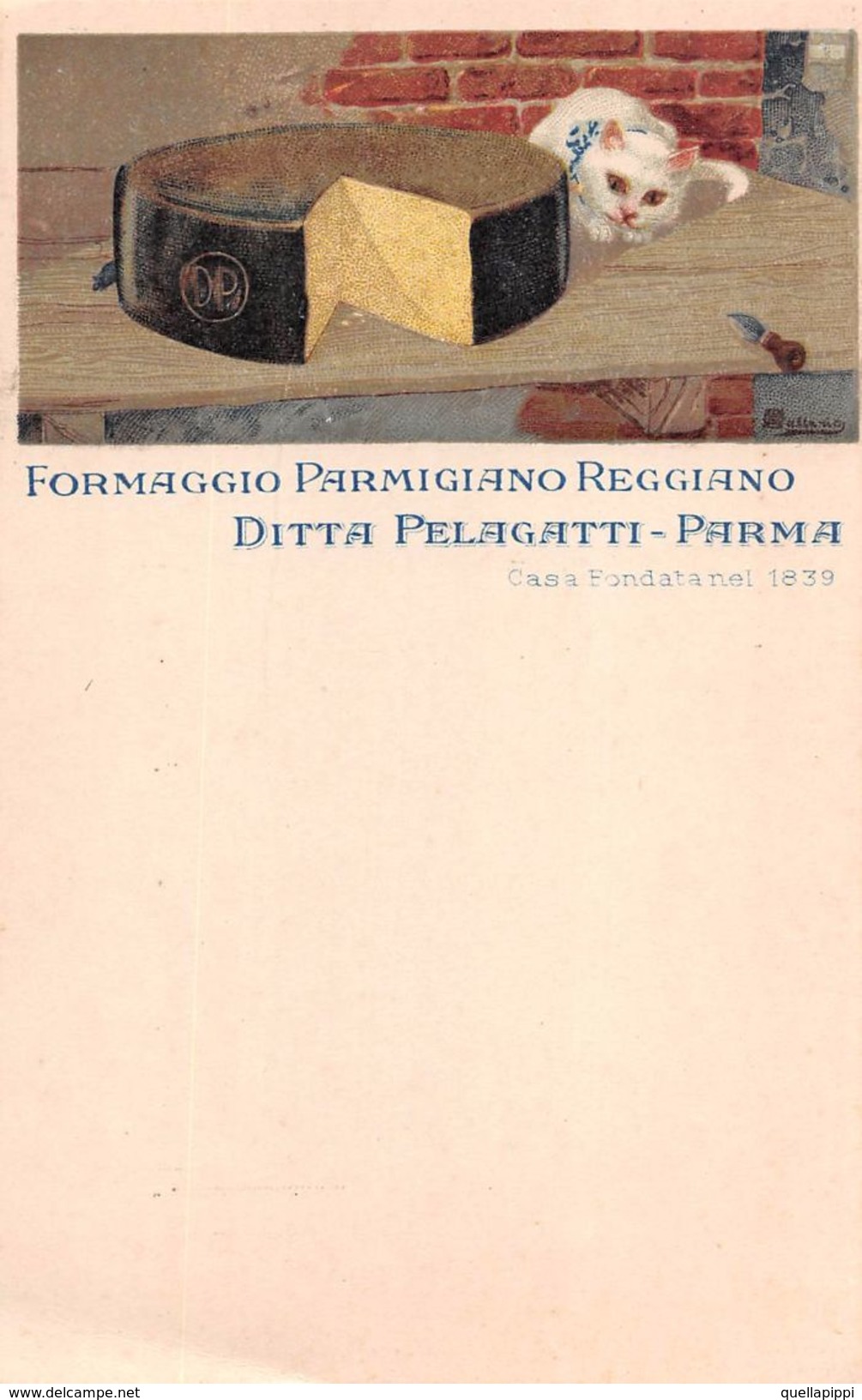 D6083 "FORMAGGIO PARMIGIANO REGGIANO - DITTA PELAGATTI 1839 - PARMA" GATTO. CART  NON SPED. - Altri & Non Classificati