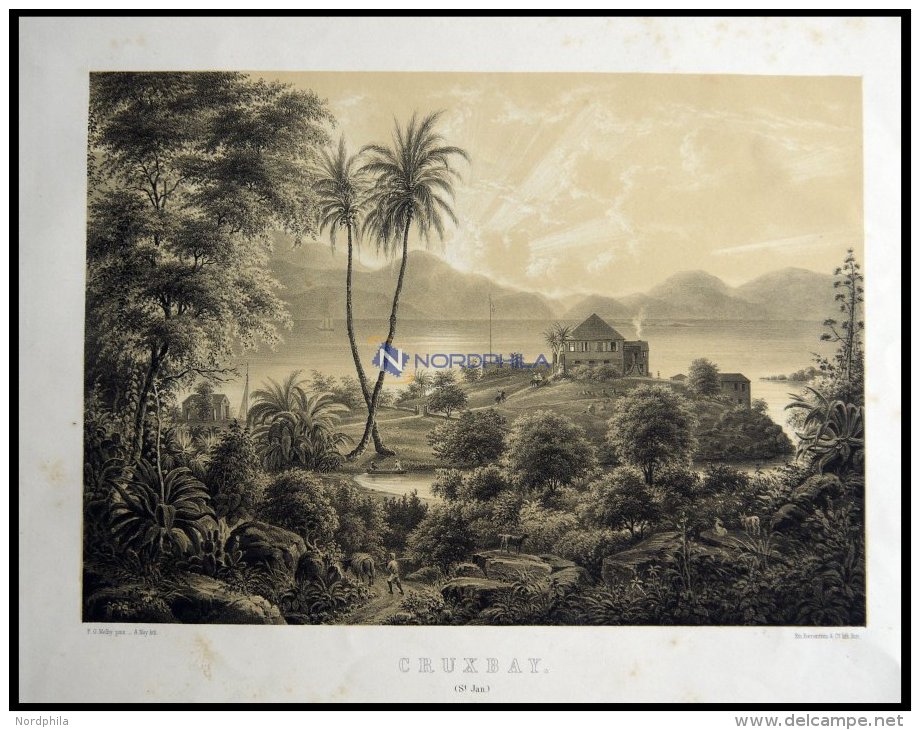 D&auml;nisch-Westindien: CRUSBAY (Cruxbay), Blick Auf Ein Herrschaftliches Anwesen, Lithographie Mit Tonplatte Von Alexa - Lithographien