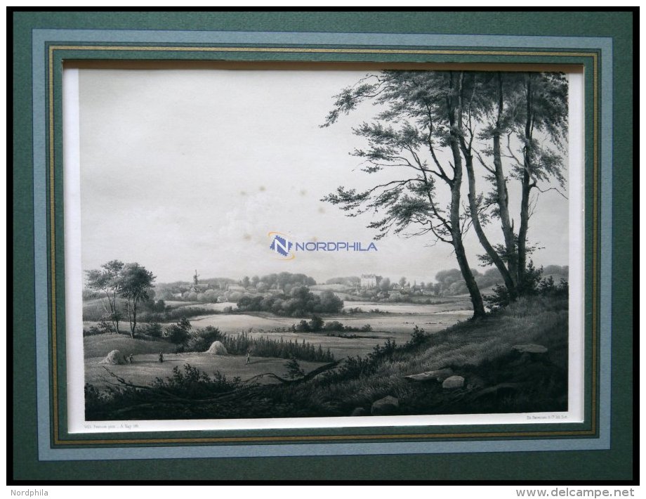 TRANEKJAER (TranekjÂ‘r Paa Langeland), Gesamtansicht, Lithographie Mit Tonplatte Von Alexander Nay Nach Wilhelm Petersen - Litografía