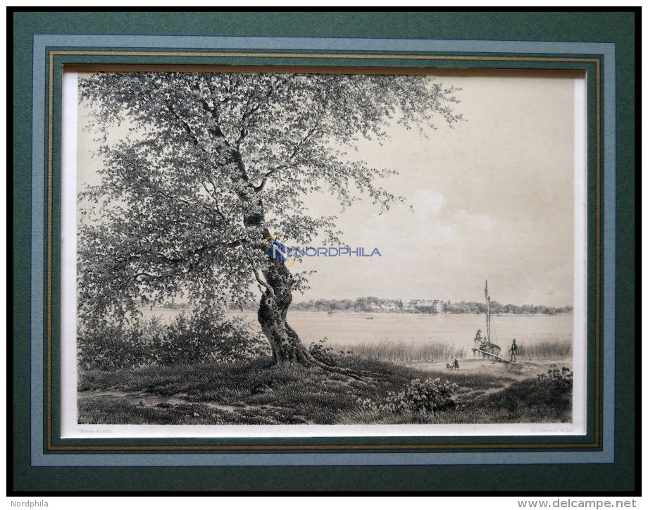 SOR&Oslash;: Partie Mit See, Get&ouml;nte Lithographie Von Hellesen/Baerentzen 1856 - Lithographien