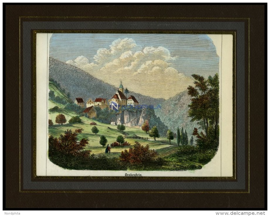 DRACKENSTEIN, Gesamtansicht, Kolorierter Holzstich Von Griesinger, 1866 - Litografía