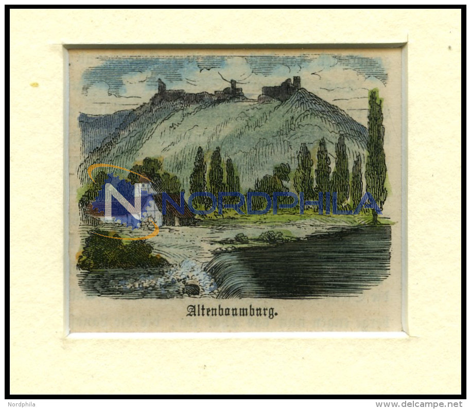 ALTENBAMBERG, Teilansicht Mit Burgruine, Kolorierter Holzstich Um 1880 - Lithographien