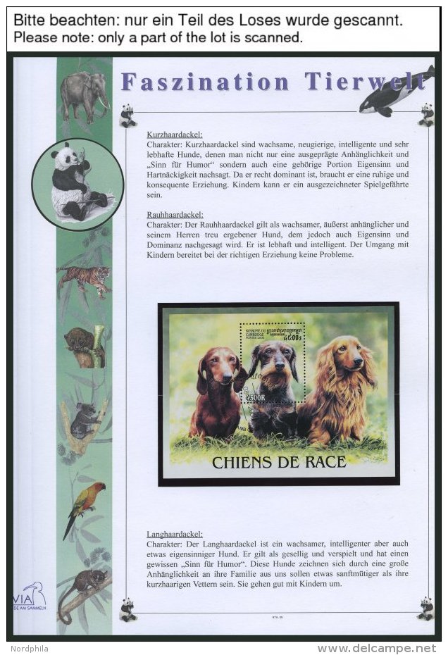 SONSTIGE MOTIVE O, Ca. 1992-96, Faszination Tierwelt, Motiv-Sammlung Im Spezial Falzlosalbum, Pracht - Autres & Non Classés