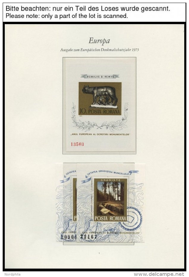 EUROPA UNION **, Postfrische Sammlung Sympathie- Und Mitl&auml;uferausgaben Von 1959-2005, Meist Nur Auf Borek Falzlosse - Sammlungen