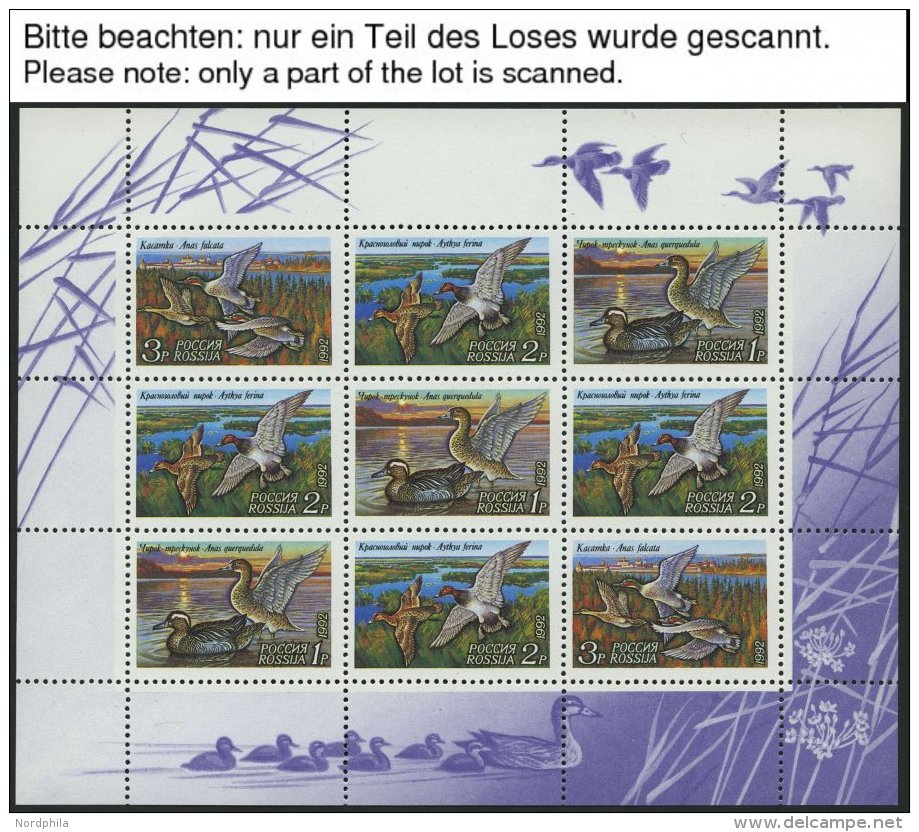 SAMMLUNGEN, LOTS KB **, 1992/3, 21 Verschiedene Kleinbogen, Pacht, Mi. 112.- - Sammlungen