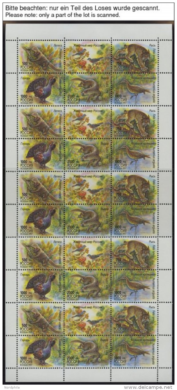 RUSSLAND KB **, 1997, Einheimische Fauna Und Russisches Museum, 5 Kleinbogen (Mi.Nr. 597-601, 623-26), Pracht, Mi. 70.- - Otros & Sin Clasificación