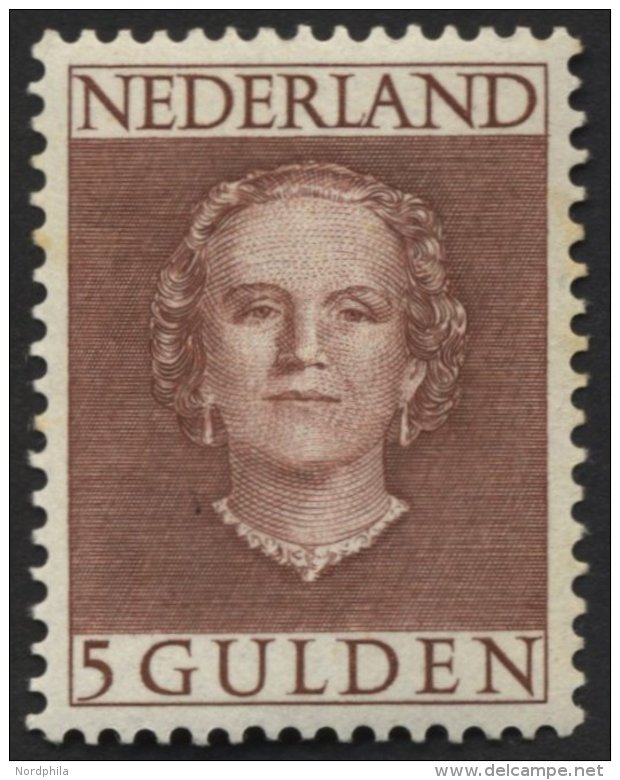 NIEDERLANDE 542 **, 1949, 5 G. Rotbraun, Gummi Minimal Fleckig Sonst Pracht, Mi. 450.- - Holanda