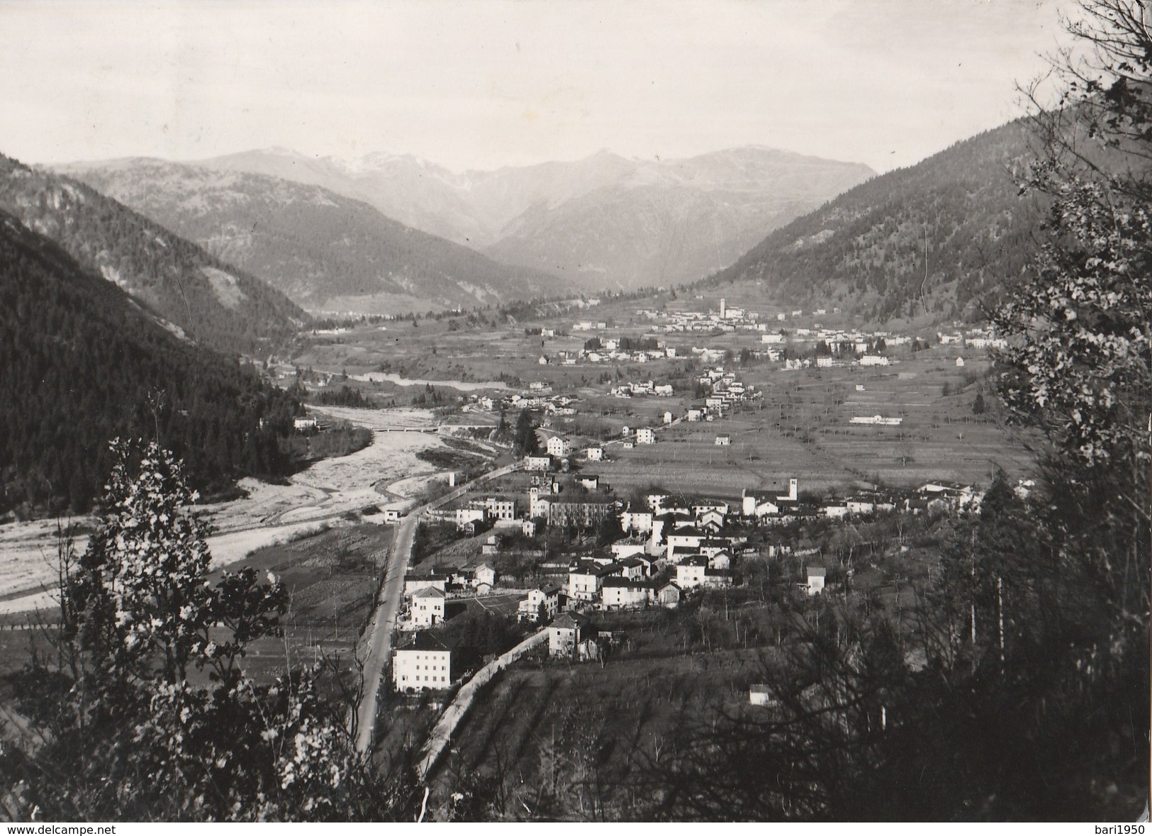 ARTA E PIANO D'ARTA ( Carnia) - Panorama - Udine