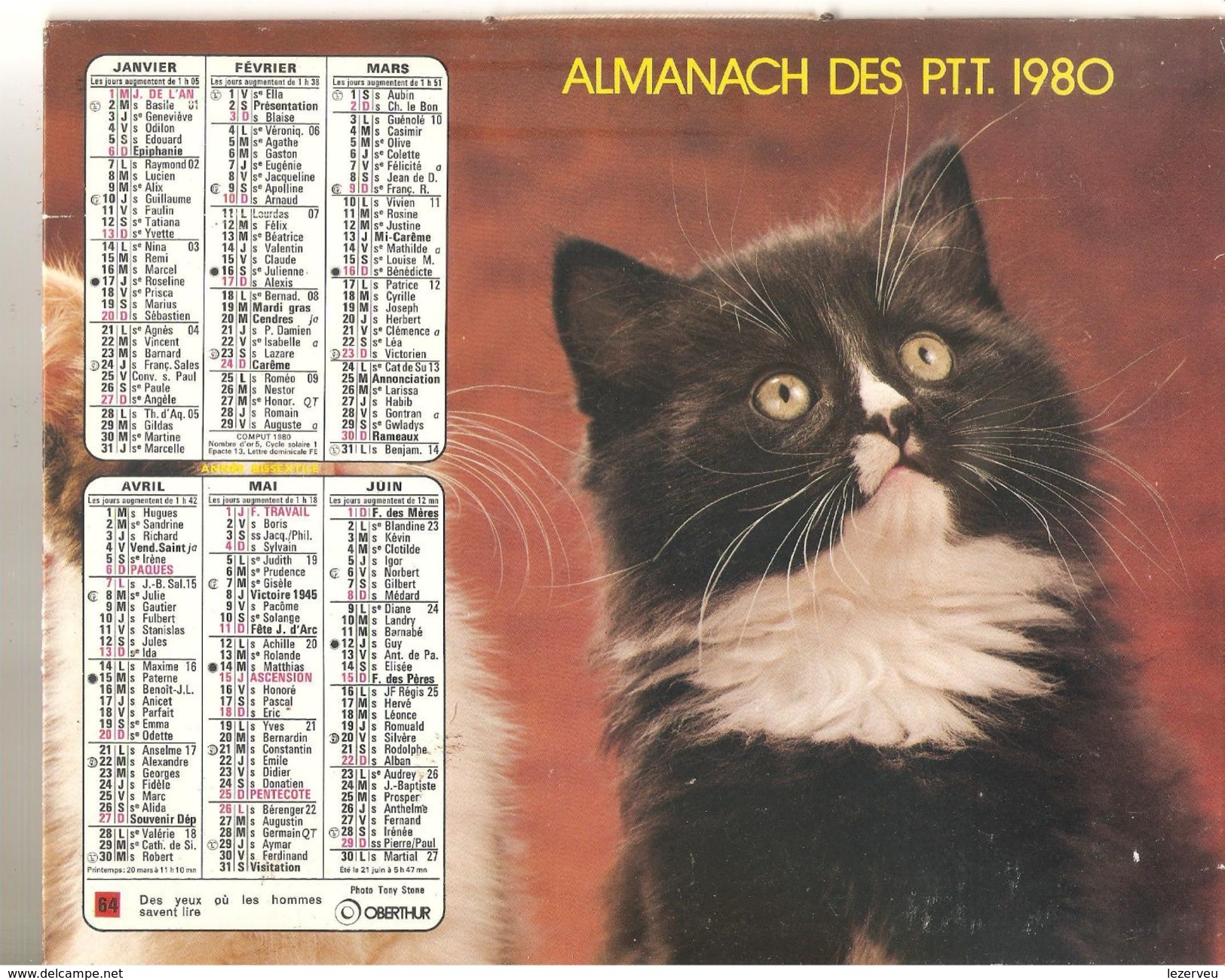 ALMANACH DES P.T.T. 1980 CALENDRIER CHARENTE MARITIME CHATS - Grand Format : 1971-80