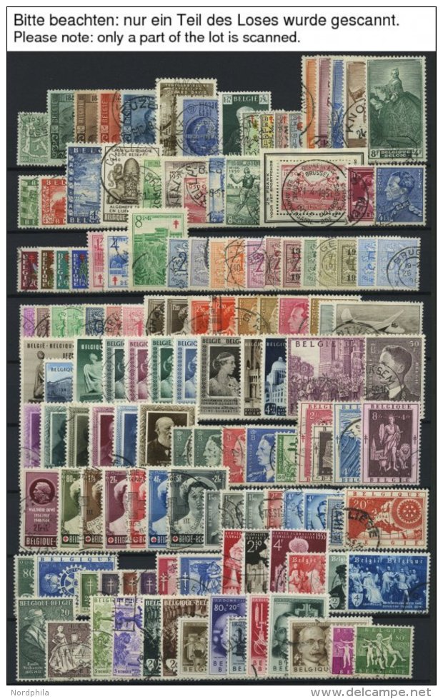 SAMMLUNGEN, LOTS O, Gestempelte Sammlung Belgien Von 1949-75 Auf Einsteckkarten, Ab 1955 Ohne Blocks Recht Komplett, Fas - Colecciones