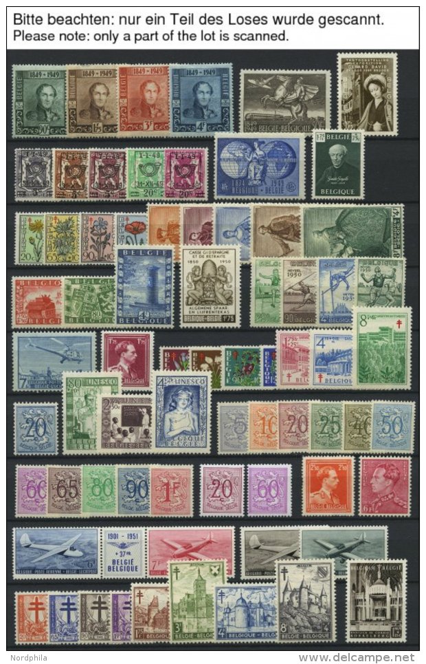 SAMMLUNGEN, LOTS *, Ungebrauchte Sammlung Belgien Von 1949-60 Mit Mittleren Ausgaben, Ab 1955 Bis Auf Bl. 25 Und Mi.Nr. - Sammlungen