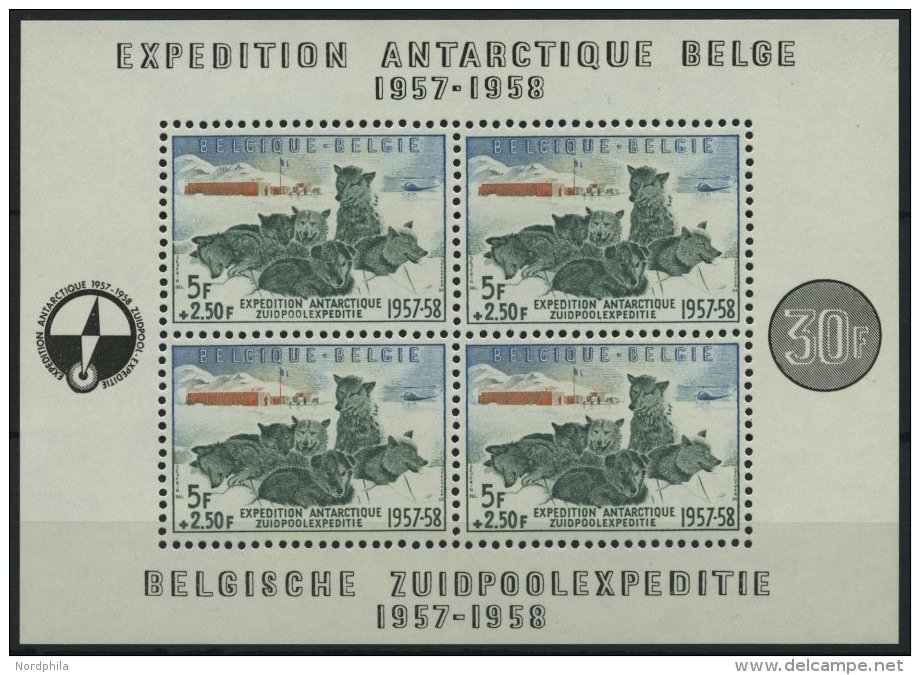 BELGIEN Bl. 25 **, 1957, Block S&uuml;dpolexpedition, Pracht, Mi. 150.- - Bélgica