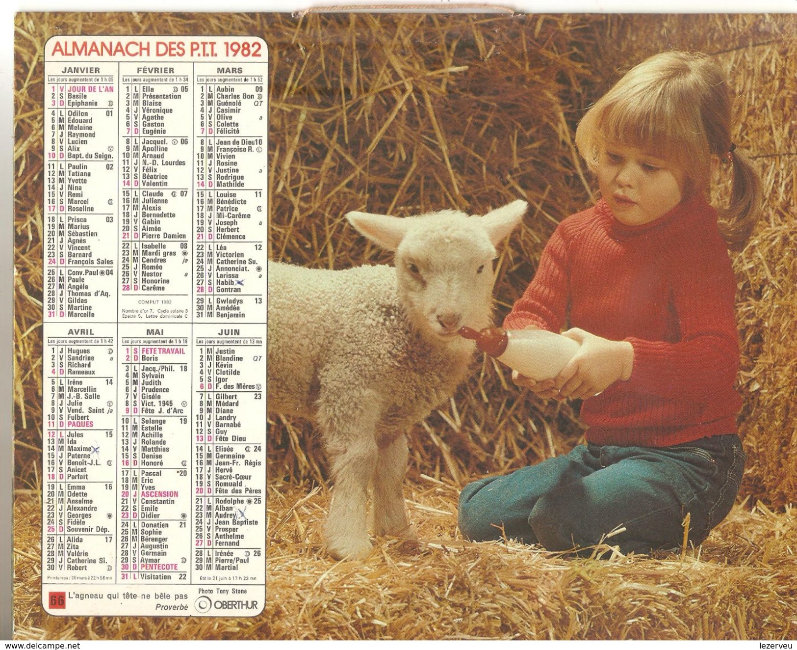 ALMANACH DES P.T.T. 1982 CALENDRIER CHARENTE MARITIME  Petite ,fille Faisant Teter Un Agneau - Tamaño Grande : 1981-90