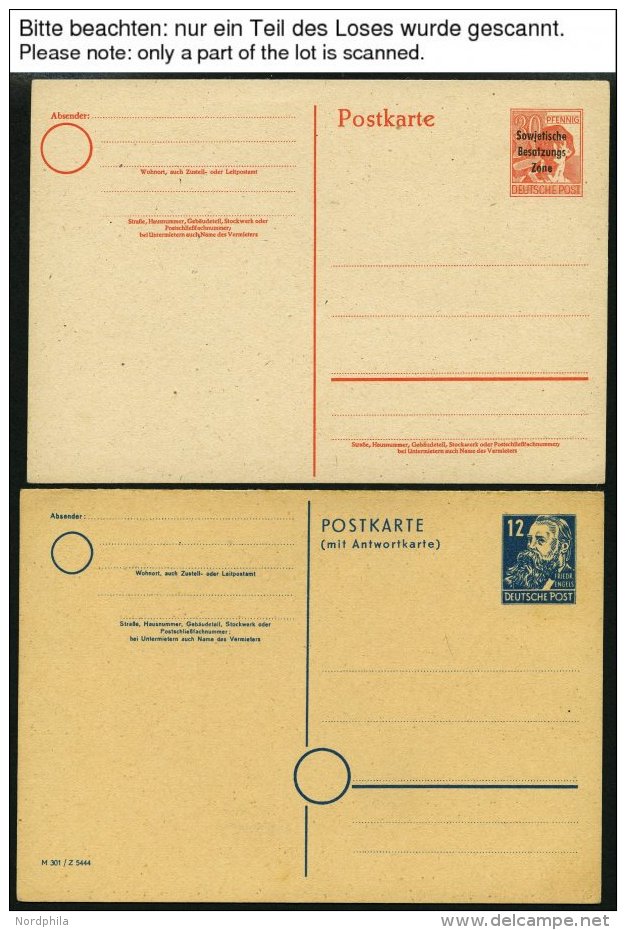 SAMMLUNGEN, LOTS A. P 2-P 38II BRIEF, 1945-50, 40 Meist Verschiedene Ganzsachenkarten, Ungebraucht Und Gebraucht, Meist - Sonstige & Ohne Zuordnung