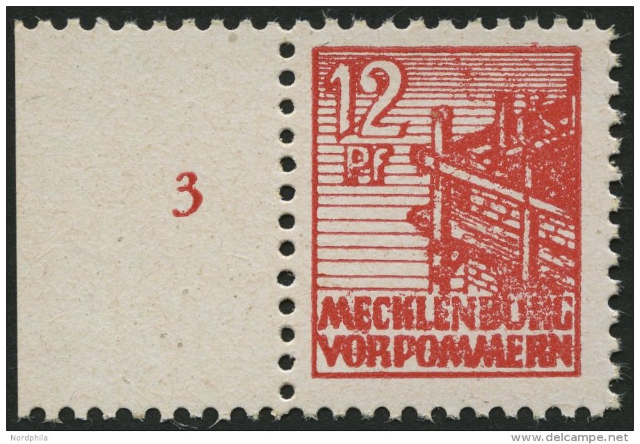 MECKLENBURG-VORPOMMERN 36xcc **, 1946, 12 Pf. Schw&auml;rzlichgraurot, Kreidepapier, Linkes Randst&uuml;ck, Pracht, Gepr - Otros & Sin Clasificación