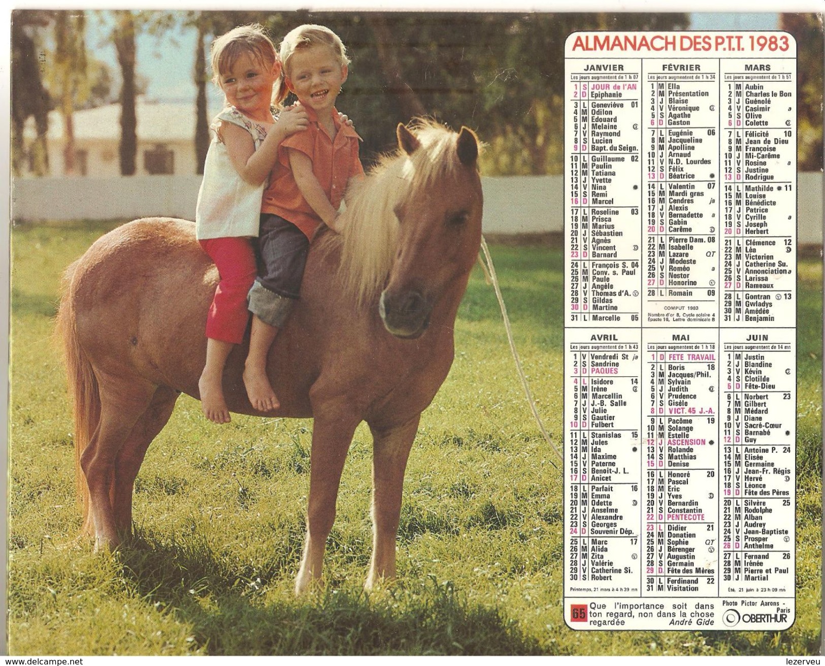ALMANACH DES P.T.T. 1983 CALENDRIER CHARENTE MARITIME PONEY POUSSINS - Big : 1981-90