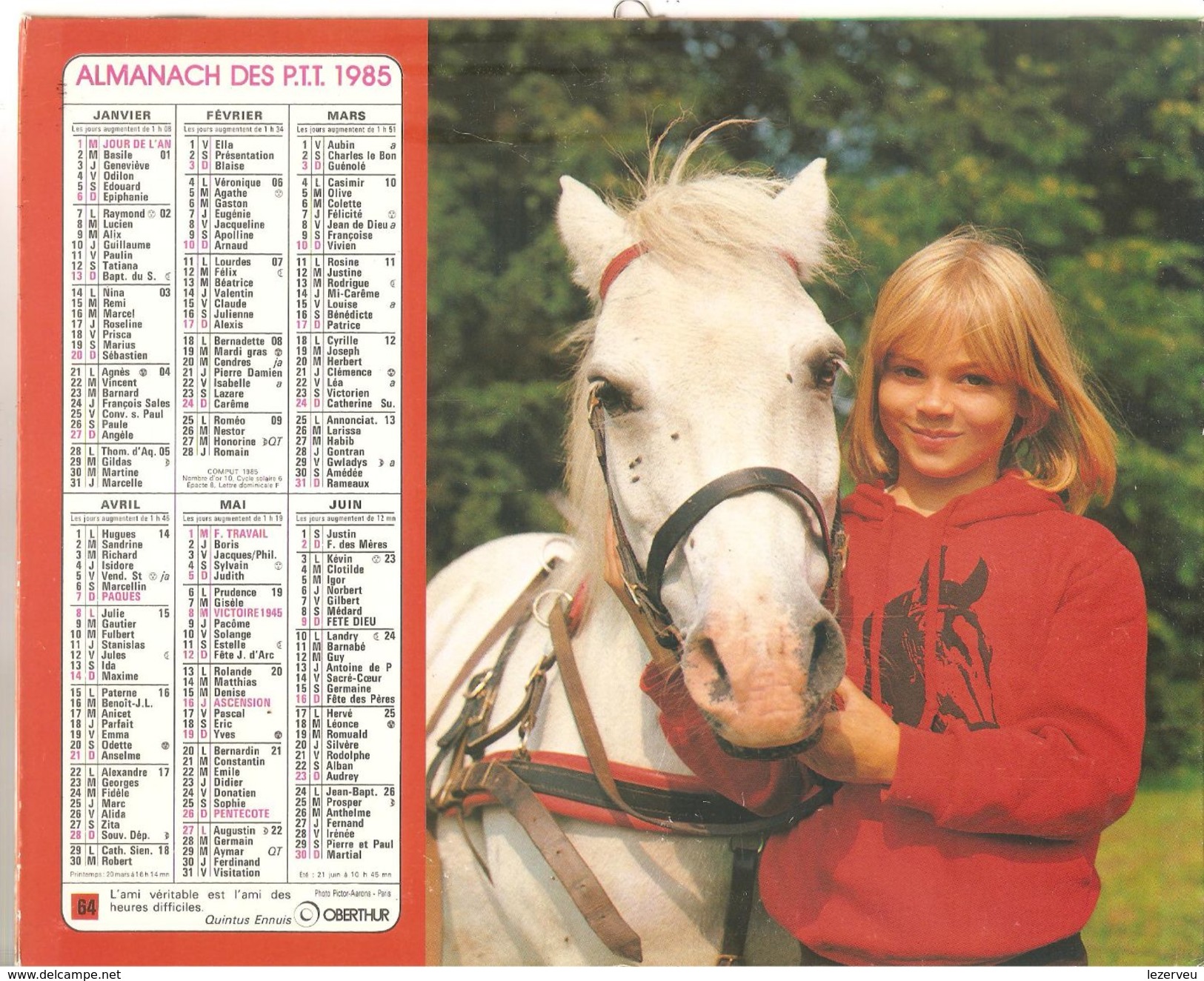 ALMANACH DES P.T.T. 1985 CALENDRIER CHARENTE MARITIME CHEVAL CHIEN - Tamaño Grande : 1981-90