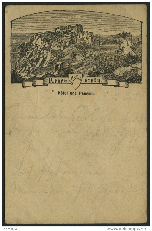 GANZSACHEN PP 6F 78 BRIEF, Privatpost: 1886, 5 Pf. Lila Regenstein, Hotel Und Pension, Stempel BLANKENBURG, Feinst - Otros & Sin Clasificación