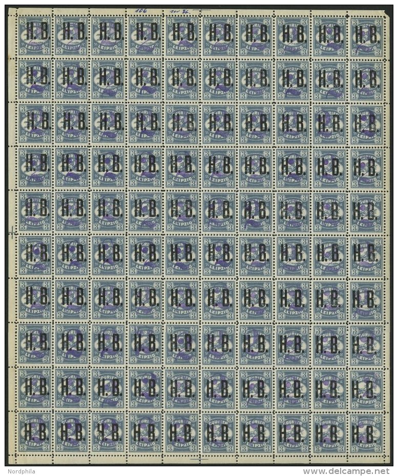 LEIPZIG E 12 **, 1893, 2 Auf 3 Pf. Graublau, Aufdruck Violett, Im Bogen (100), Pracht (Rand &uuml;ber Marken Beschriftet - Correos Privados & Locales