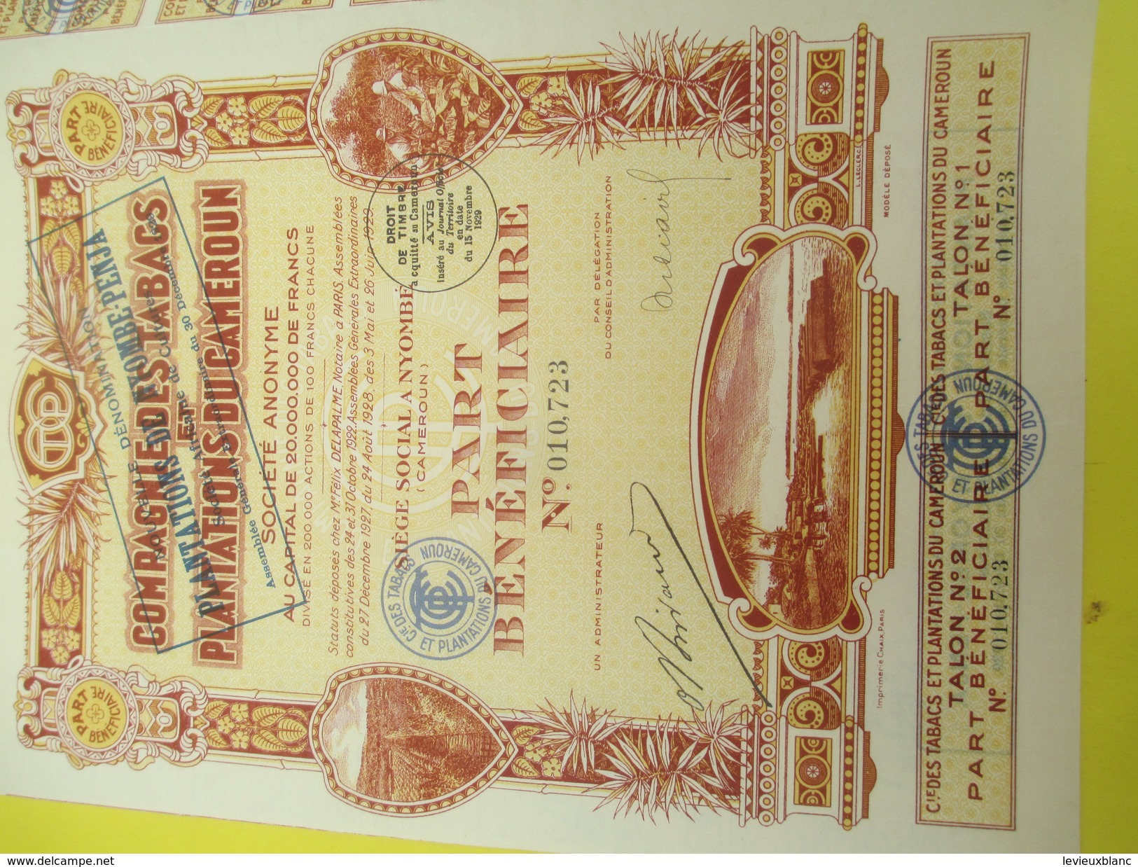 Compagnie Des Tabacs Et Plantations Du Cameroun/ Part Bénéficiaire/Société Anonyme / Nyombé/1929       ACT123 - Afrique