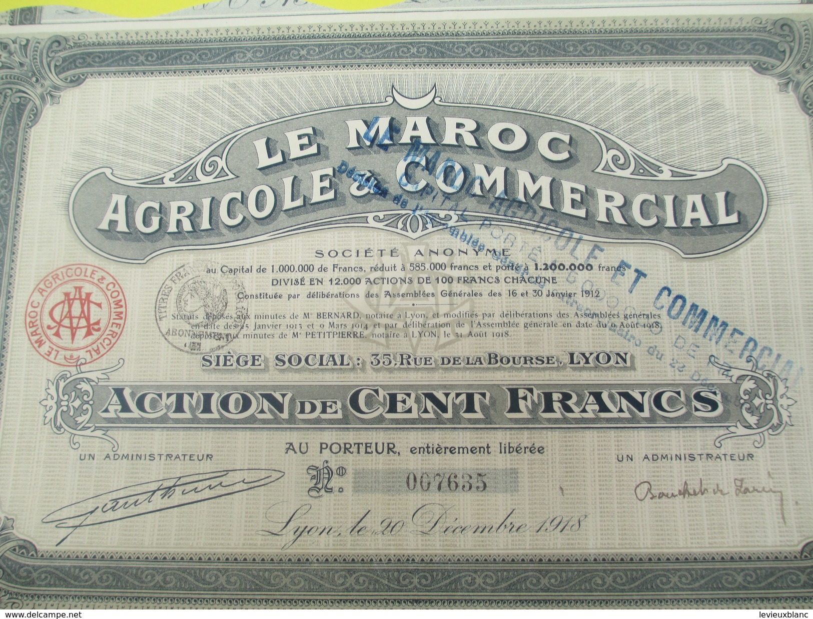 Le Maroc Agricole & Commercial/ Société Anonyme/Action De 100 Francs Au Porteur /Lyon / /1918       ACT126 - Afrique