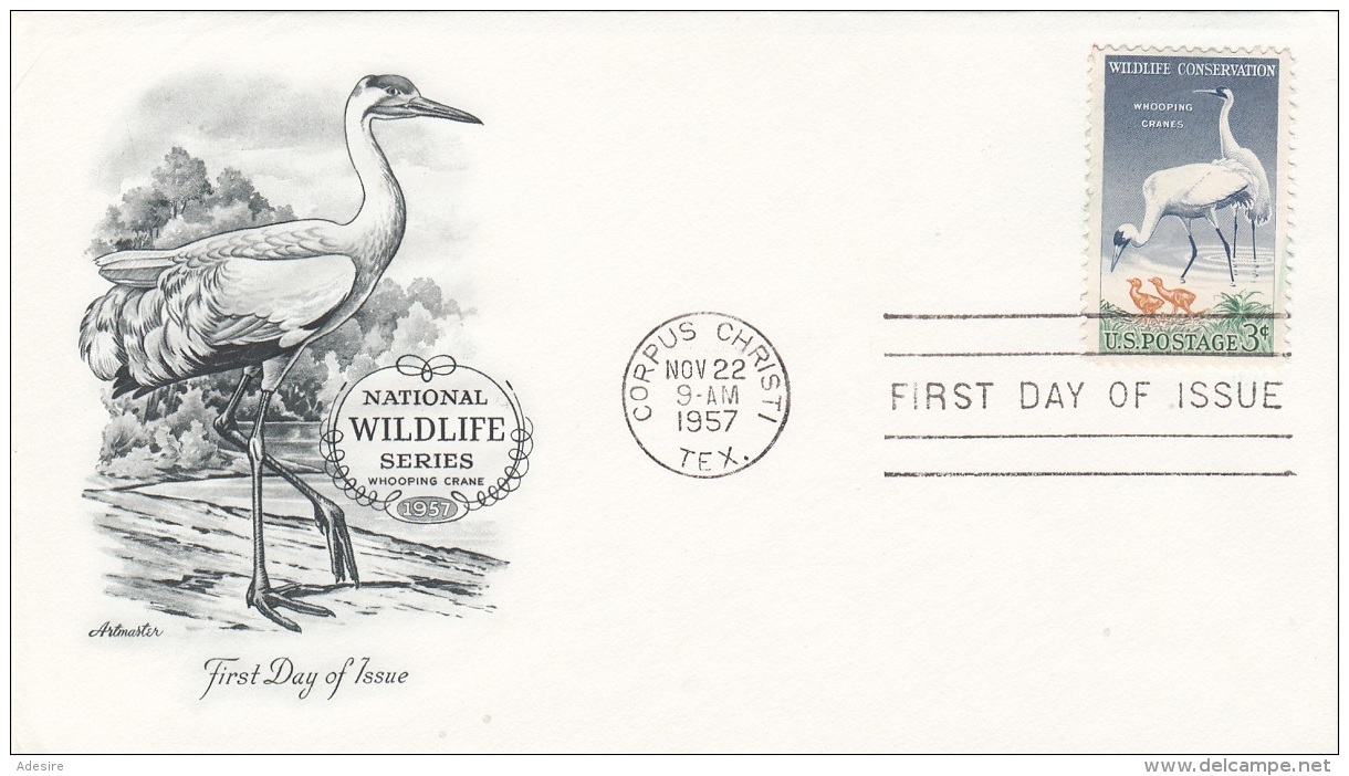 USA 1957 - FDC Brief Mit 3 C Sondermarke - 1951-1960