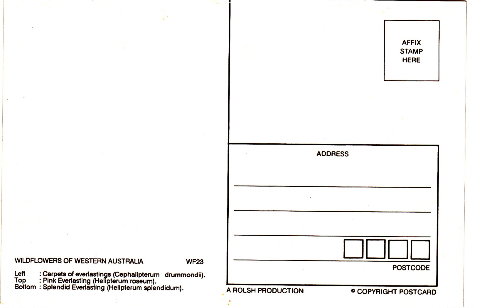 Modern Post Card Of West Australia ,B25. - Other & Unclassified