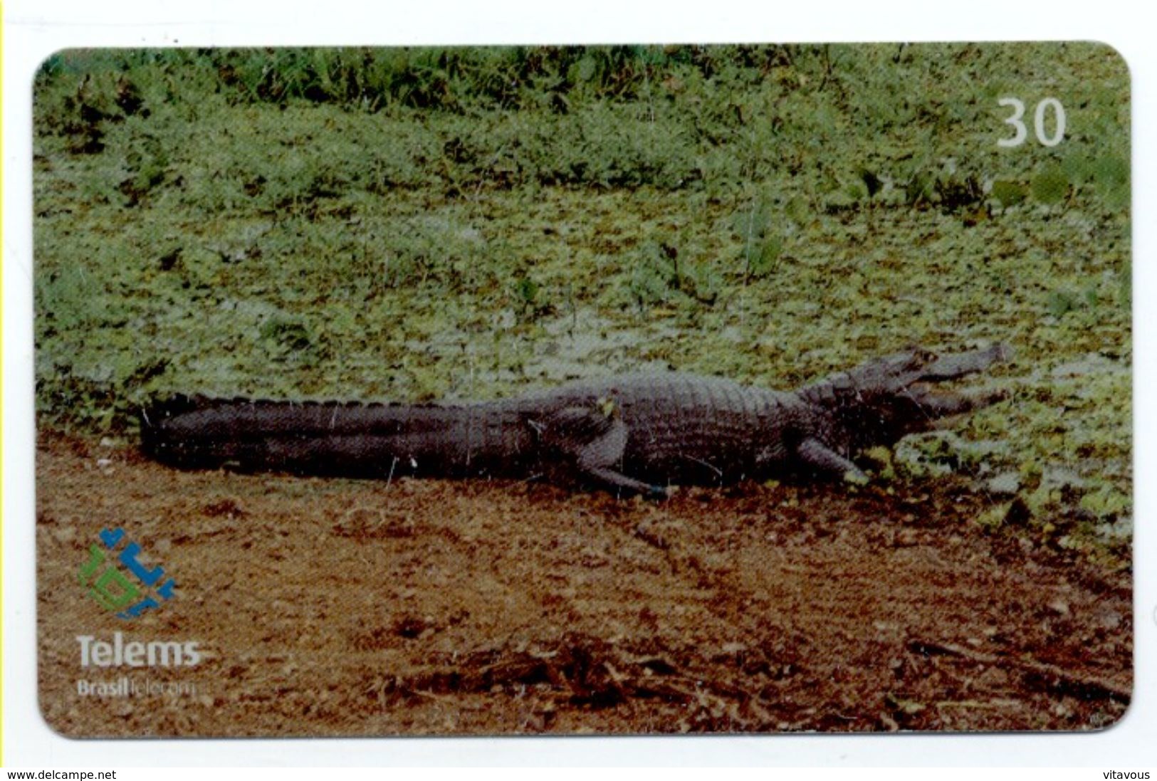 Crocodile Jararé Caiman Télécarte Phonecard  Telefonkarte (S.208) - Brasilien