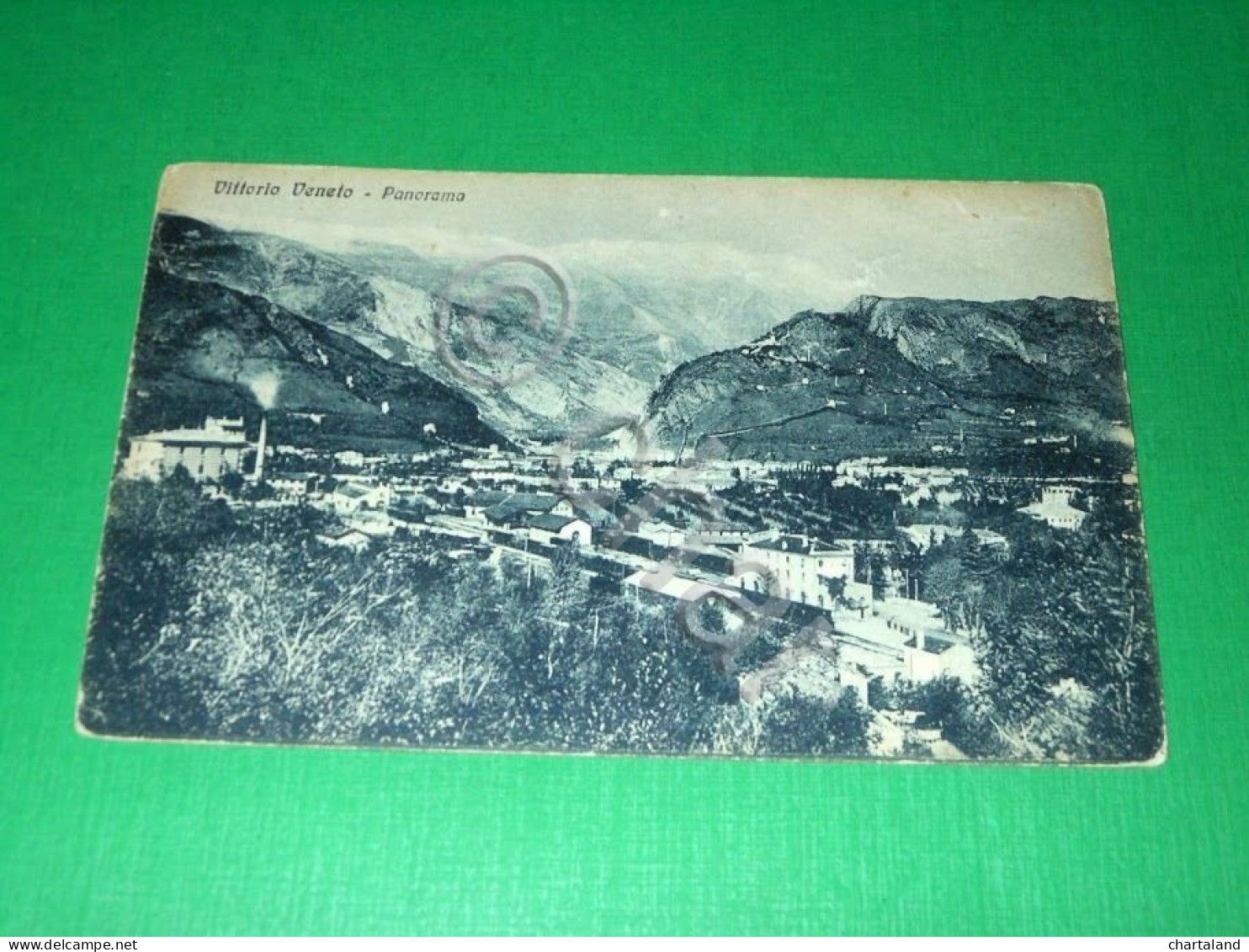 Cartolina Vittorio Veneto ( Treviso ) - Panorama 1924 - Treviso