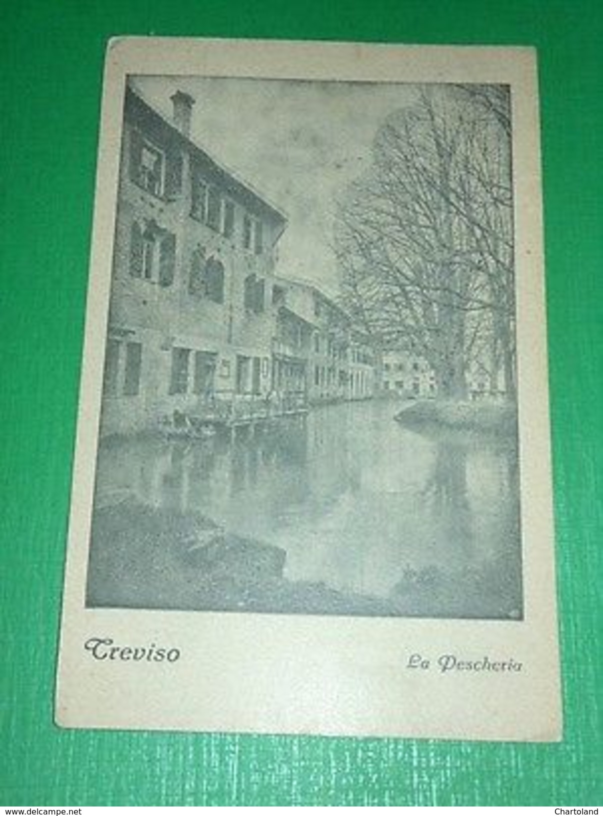 Cartolina Treviso - La Peschiera 1915 - Treviso