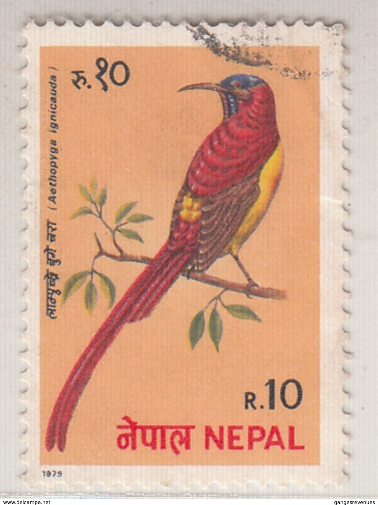 Nepal  1990's  Birds  10 Rs  Used   # 95889 - Uccelli Canterini Ed Arboricoli