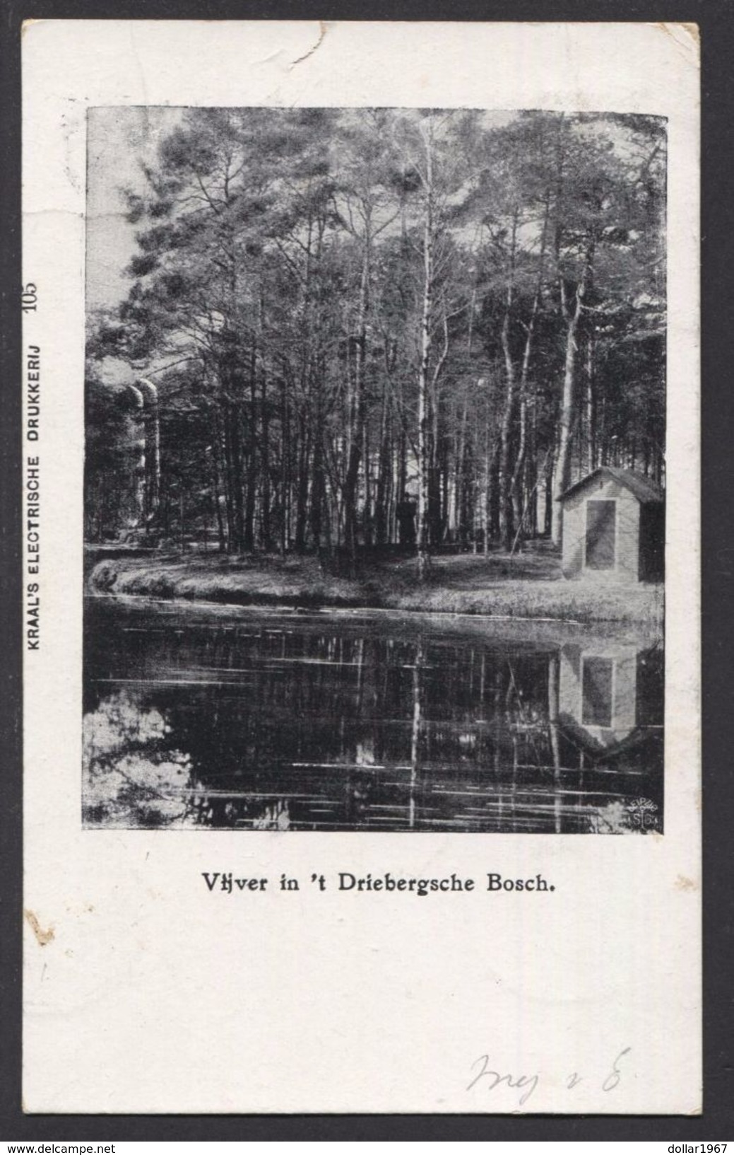 Driebergen-Rijsenburg Vijver 't Driebergsche Bosch 1909  -  Used  - See The 2 Scans For Condition.( Originalscan !!! ) - Driebergen – Rijsenburg