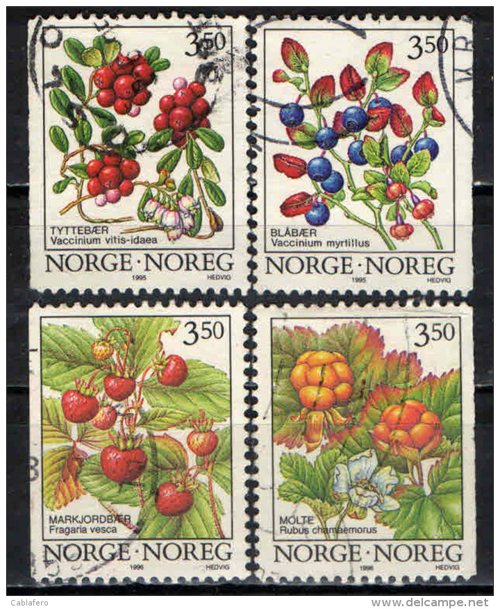 NORVEGIA - 1995 - BACCHE SELVATICHE - USATI - Used Stamps