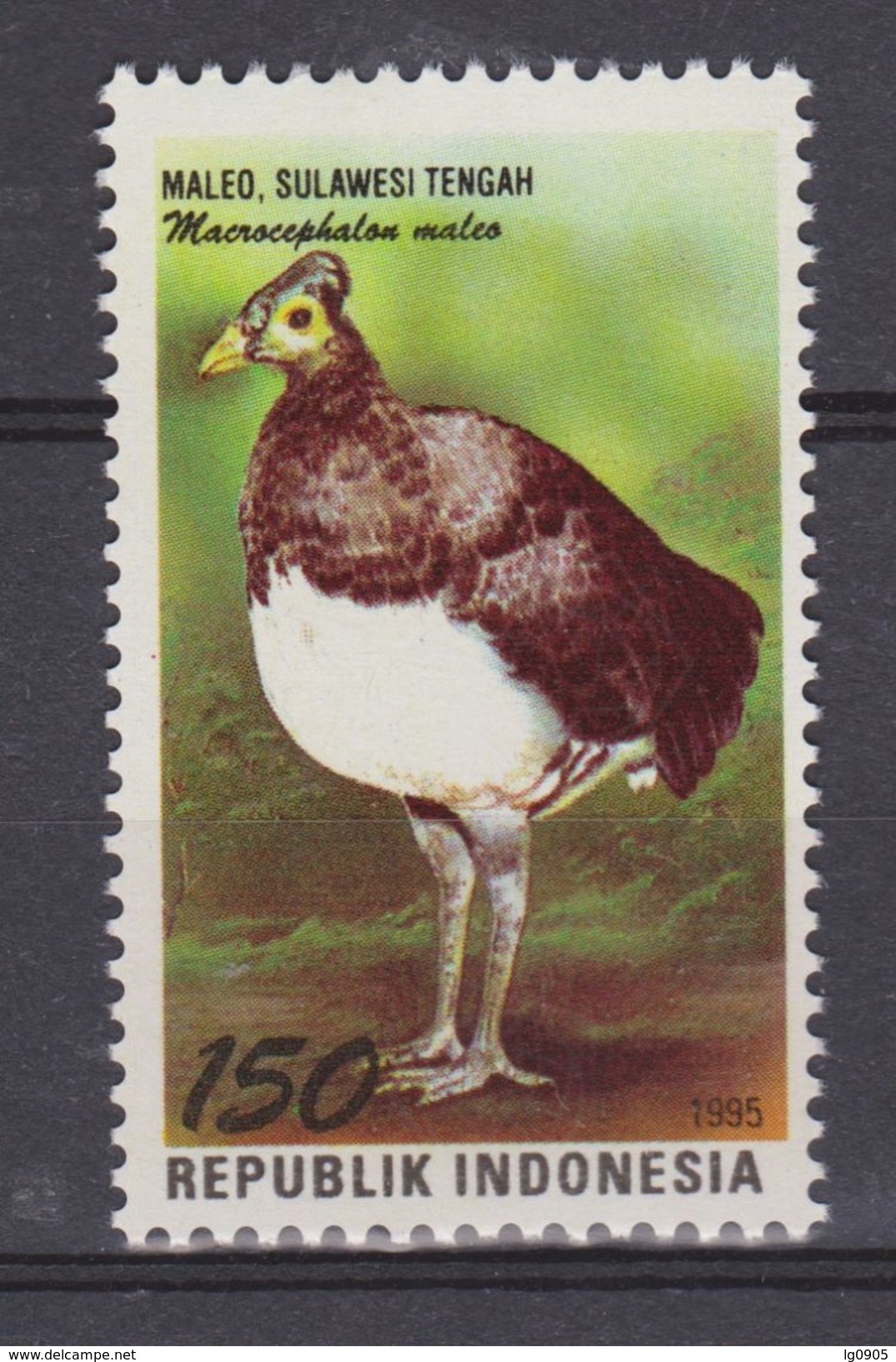 Indonesie Indonesia 1657 MNH : Hoen, Poule, Fowl, Gallina, Huhn Water Hoen, Poule Déau 1995 NOW MANY STAMPS OF ANIMALS - Hoendervogels & Fazanten