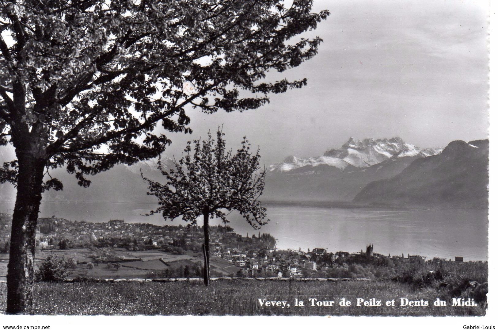 Vevey Et La Tour De Peilz - La Tour-de-Peilz