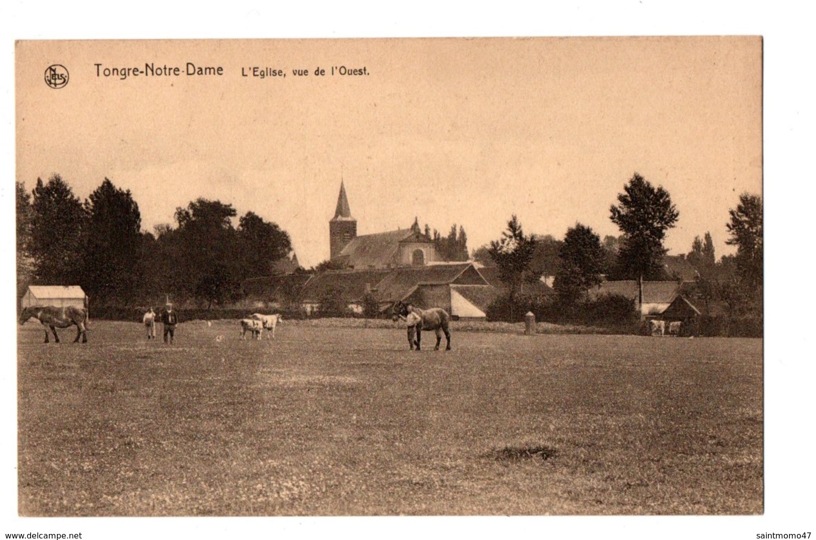 BELGIQUE . TONGRE-NOTRE-DAME . L'EGLISE, VUE DE L'OUEST - Réf. N°3505 - - Chievres