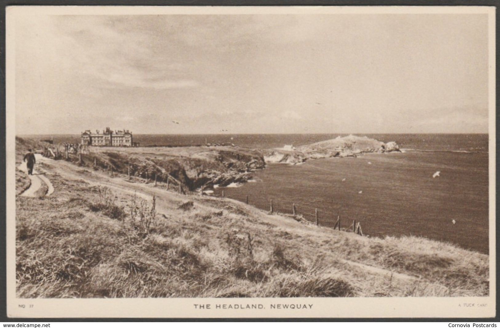 The Headland, Newquay, Cornwall, C.1940s - Tuck's Postcard - Newquay