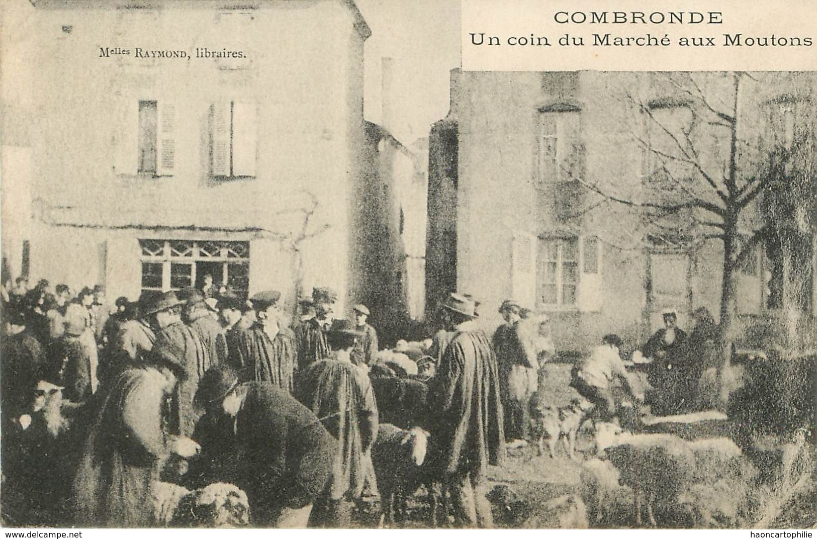 Puy De Dome : Combronde : Marché Aux Moutons - Combronde