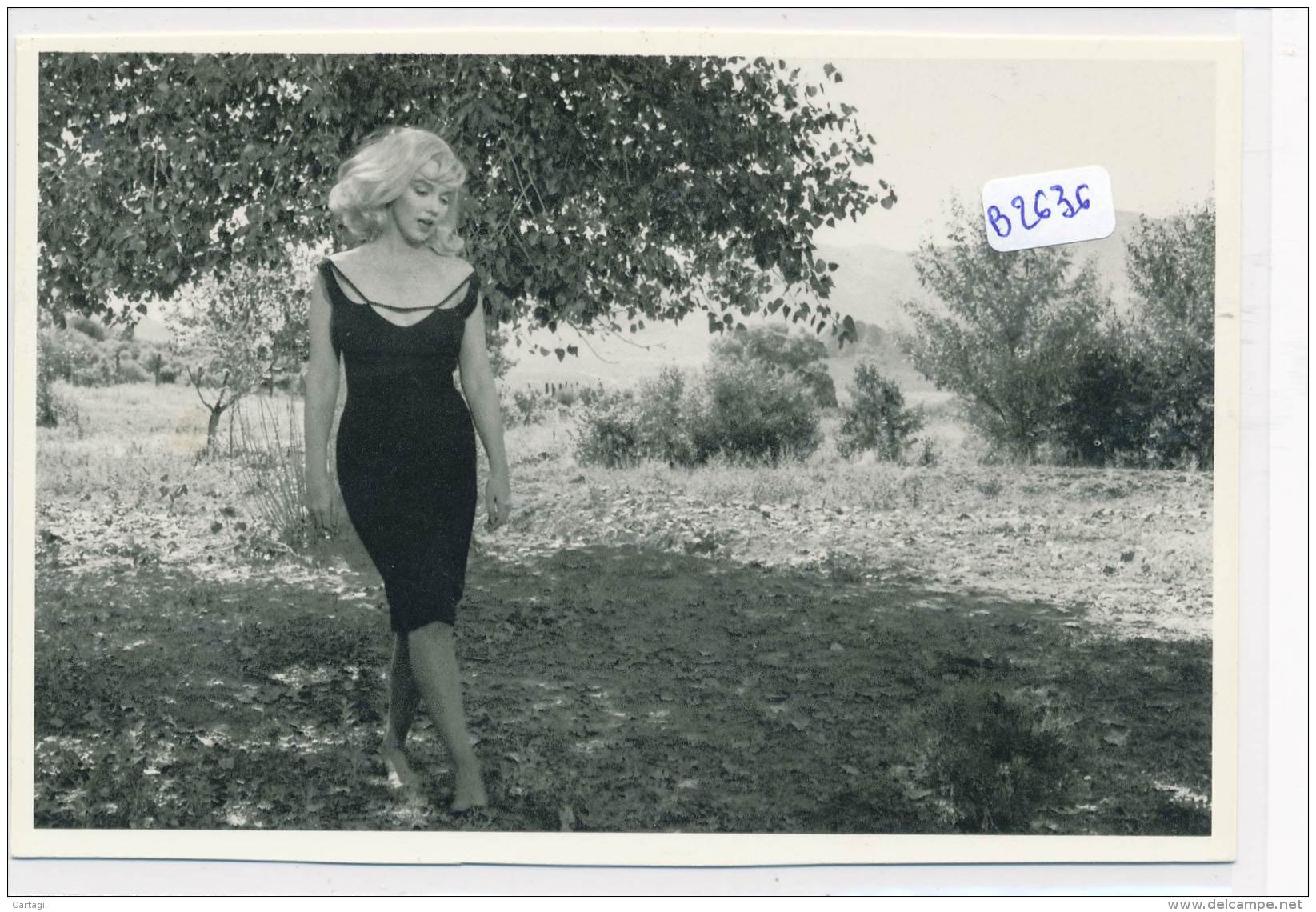 AC - B2636 (Photo Format CPM GF) - Reproduction Photo Marilyn Monroe 1960 - Other & Unclassified