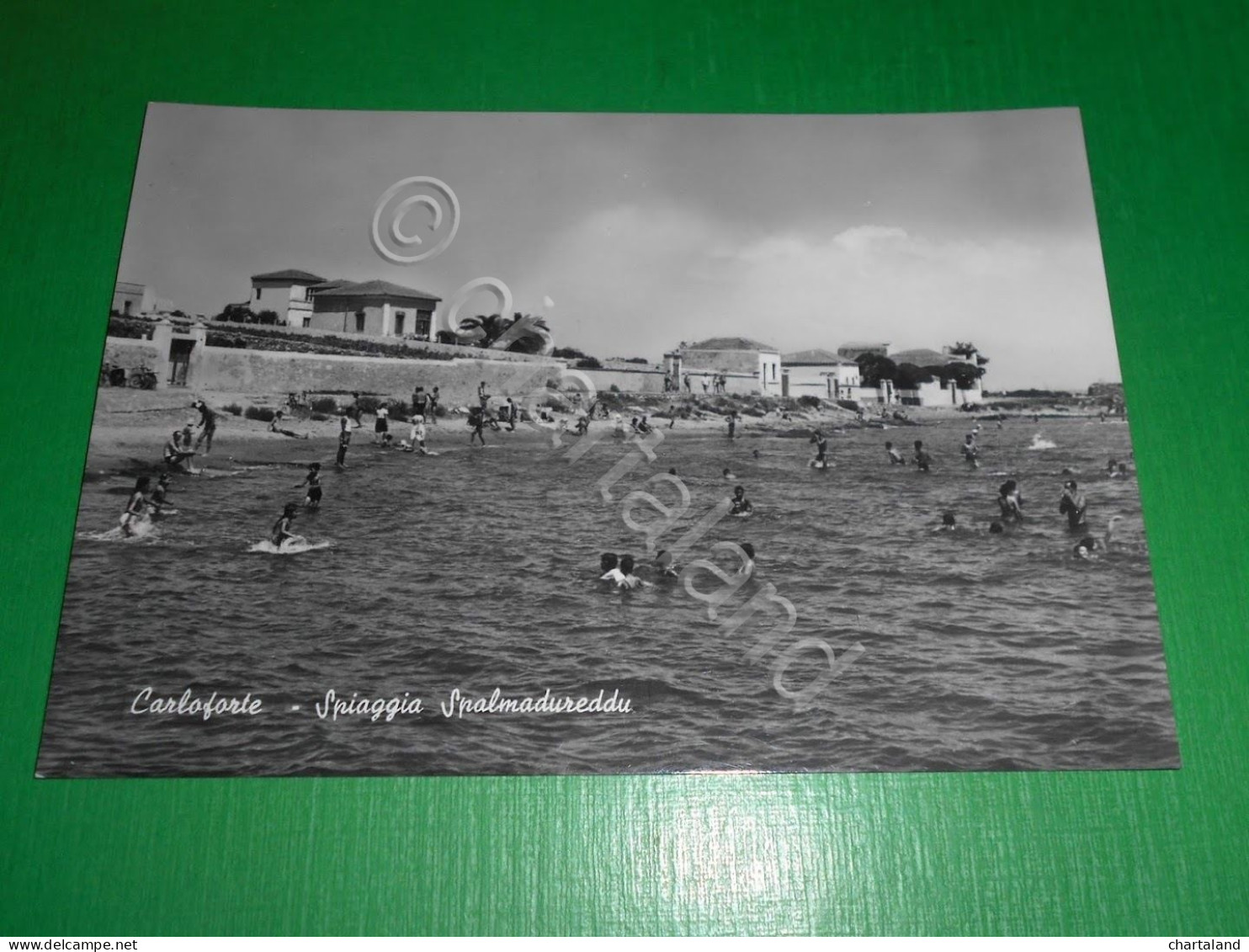 Cartolina Carloforte - Spiaggia Spalmadureddu 1955 Ca - Cagliari