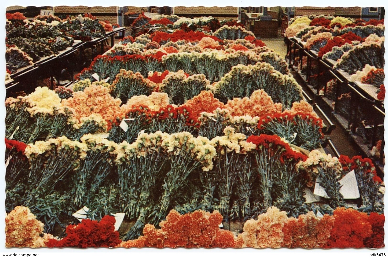 PAYS-BAS : AALSMEER - INTERIOR FLOWER AUCTION - Aalsmeer