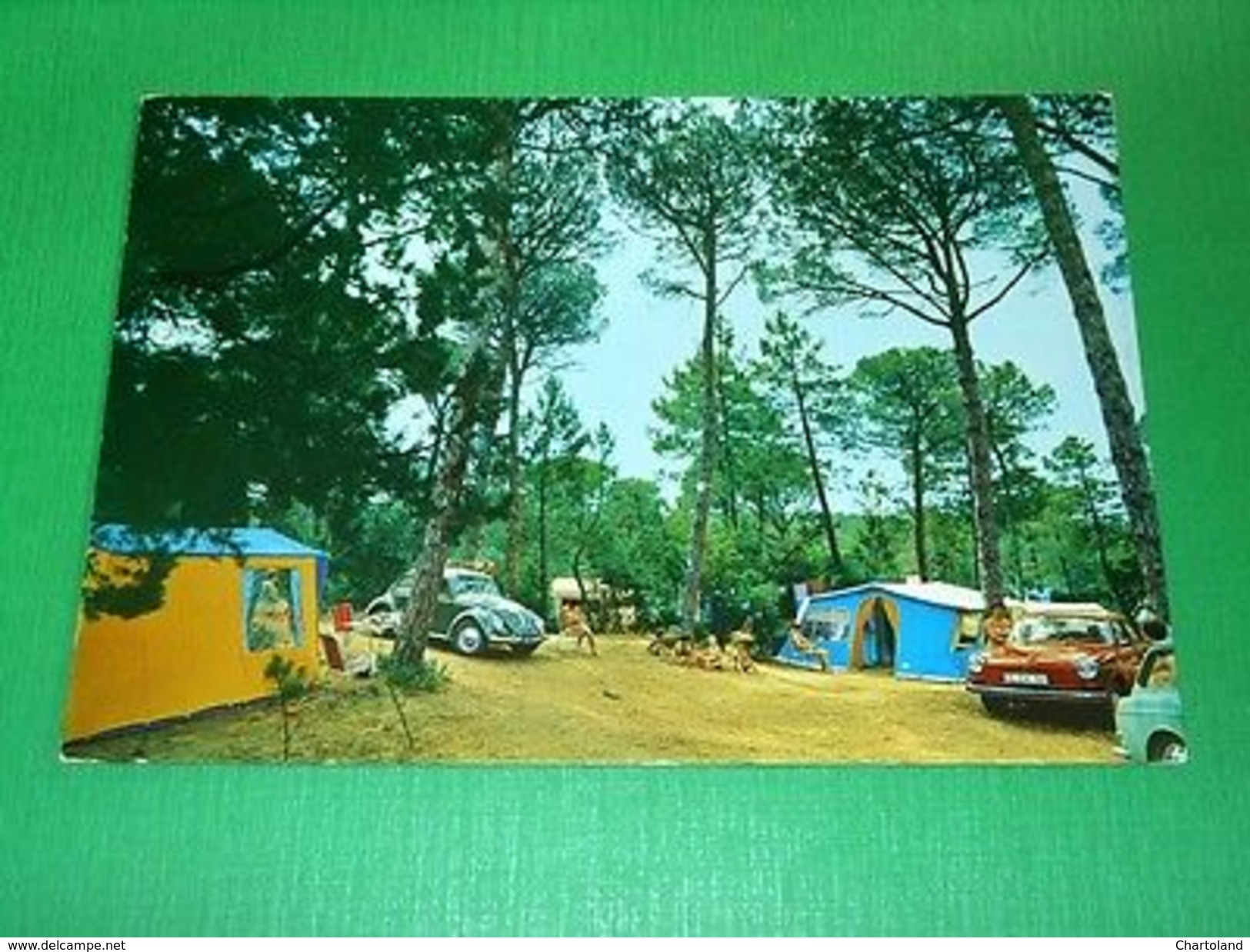 Cartolina Marina Di Castagneto - Livorno - International Camping Etruria 1965 Ca - Livorno