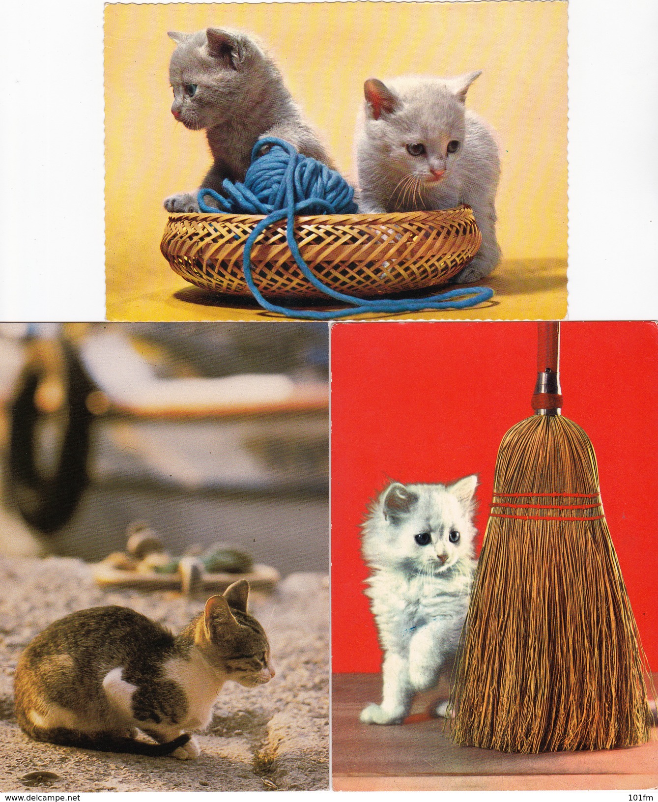 Lot 3 Postcards CATS - Chats